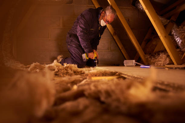 Best Insulation Maintenance and Repair in Bohners Lake, WI